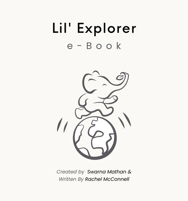 The Little Explorer - eBook